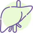 Advanced Bioidentical Hormone Therapy Liver Support
